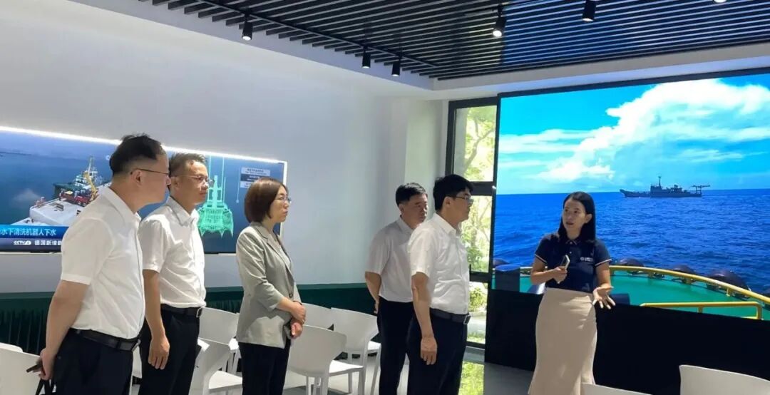 图片1 图片1